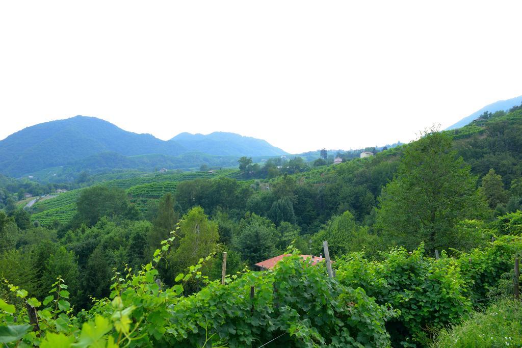 B&B Casa Di Campagna Miane Phòng bức ảnh