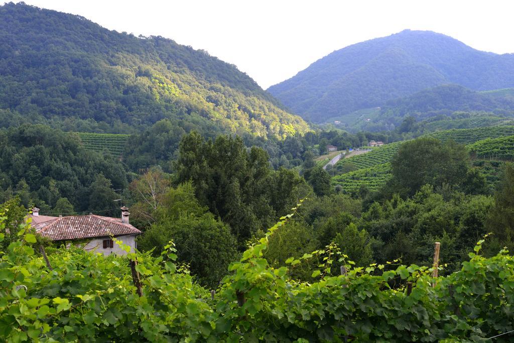 B&B Casa Di Campagna Miane Phòng bức ảnh